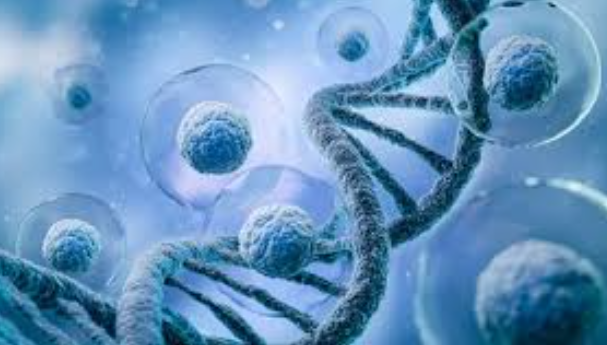 image credit- shutterstock