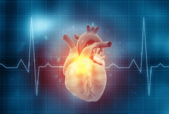 image credit- shutterstock