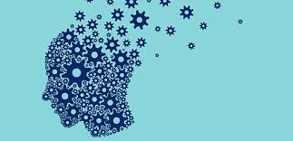 Picture Credit | World Wide Web