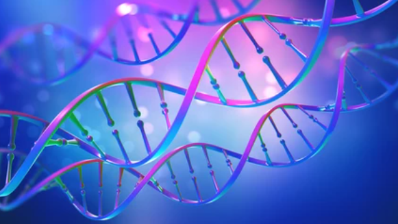 image credit- shutterstock