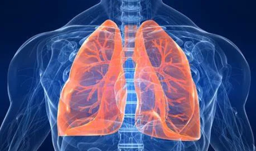 image credit- shutterstock