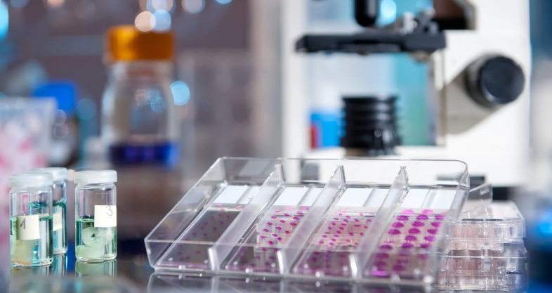 image credit- shutterstock